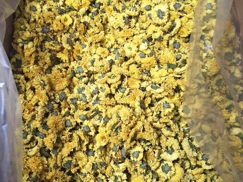 河南金銀花烘干機